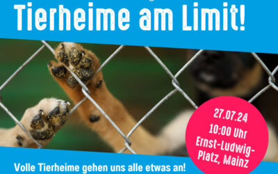 Tierheime am Limit – Einladung zur Demo in Mainz am 27.07.24