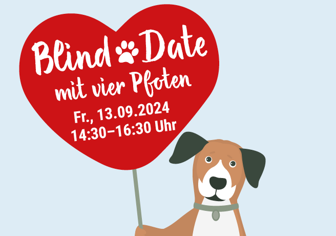 Einladung zum „Blind Date mit 4 Pfoten“ am 13.09.24