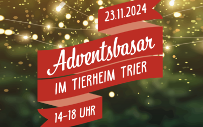 Einladung zum Adventsbasar