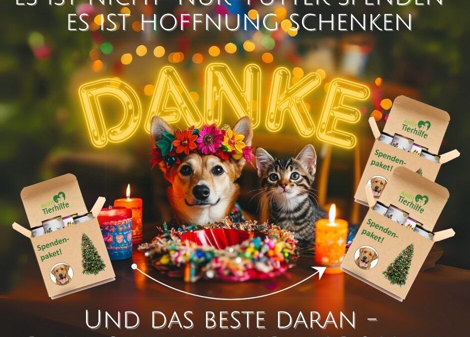 Weihnachtsfreude mit ANIfit schenken! 